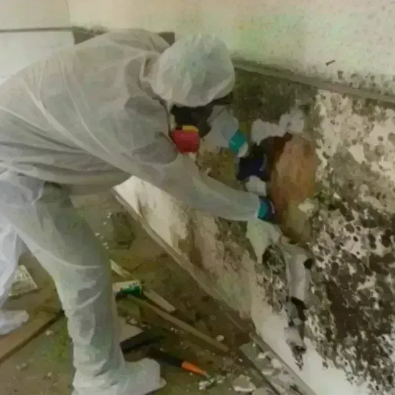 Mold Remediation and Removal in Golden Triangle, NJ