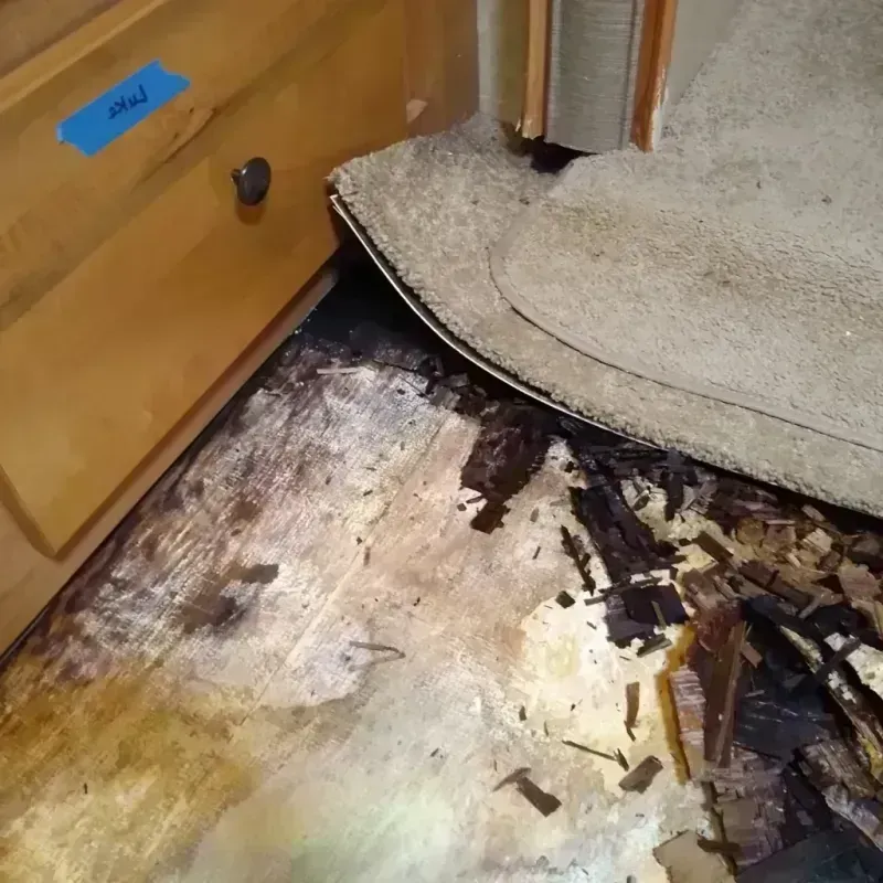 Wood Floor Water Damage in Golden Triangle, NJ